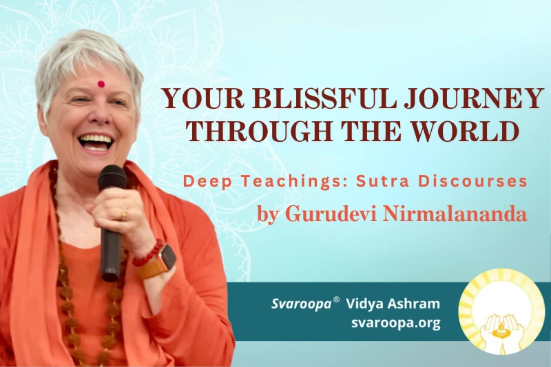 Your Blissful Journey Through the World